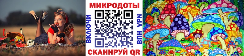 Псилоцибиновые грибы мицелий  hydra ONION  Верещагино  купить наркотик 